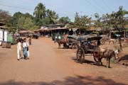 Jižně od Yangonu. Myanmar (Barma).