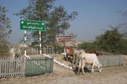 Momentka cestou do provincie Chin. Myanmar (Barma).