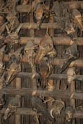 Lovecké trofeje jako dekorace obydlí. Současně působí jako talismany pro štěstí v budoucích lovech. Vesnice Kyartho, provincie Chin. Myanmar (Barma).