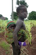 Děti z etnika Somba (někdy též nazývaní lidé Betamaribé). Starší dítě se vždy stará o mladší sourozence. Oblast Boukoumbé. Benin.