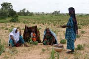 ekn. Na cest do msta Agadez. Niger.