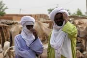 Místní muži na trhu s dobytkem ve městě Agadez. Niger.