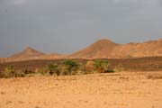 Poušť Sahara. Niger.