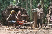 Tradiční tance v Pygmejské vesnici na řece Lobe. Kamerun.