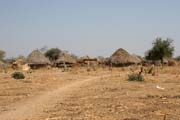 Mal vesnice za brnou Nrodnho parku Waza smrem do vesnice Maga. Kamerun.