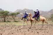 Tuaregové stále nejčastěji cestují na velbloudech. Oblast pohoří Air. Niger.