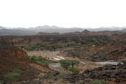 Krajina v poušti Sahara v oblasti pohoří Air. Tentokrát po dešti. Niger.