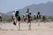 Tradiční velbloudí závody na tuarežské svatbě. Oblasti pohoří Air. Niger.