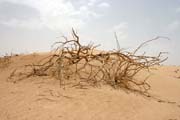 Krajina na pomezí pohoří Air a písečné pouště Sahara. Niger.