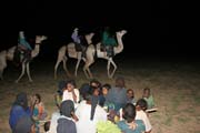 Zpěvy tuarežských žen a tanec na velbloudech tuarežských mužů. Kemp nomádských Tuaregů. Poušť Sahara. Niger.