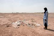 Kostra dinosaura - brontosaura. Dinousauří hřbitov v blízkosti města Agadez.  Niger.