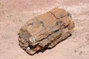 Zkamenělé dřevo. Dinousauří hřbitov v blízkosti města Agadez.  Niger.