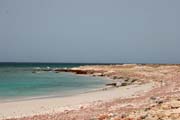 Severní pobřeží ostrova Socotra v oblasti rezervace Dihamri. Jemen.