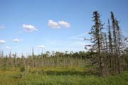 Oblast North Shore, Minnesota. Spojené státy americké.
