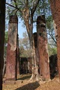 Archeologický park Kamphaeng Phet. Thajsko.