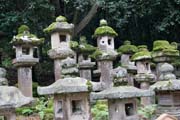 Chrm Kasuga Grand, Nara. Japonsko.