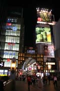 Čtvrť Dotombori (někdy též Dotomburi) ve městě Osaka. Japonsko.