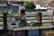 Trh Miya-gawa a pouliční prodejkyně ve městě Takayama. Japonsko.