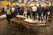 Rann draba tuk - je po aukci, prodan si ryby si odvej kupci. Ryb trh Tsukiji, Tokio. Japonsko.