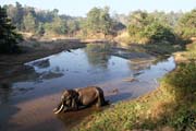 Sloní koupel. Kemp s pracovními slony. Okolí města Taungoo. Myanmar (Barma).
