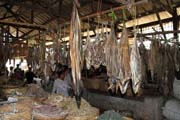 Sušené rybi - rybí trh ve městě Sittwe. Myanmar (Barma).