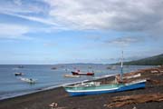 Nrodn park Tangkoko. Sulawesi, Indonsie.