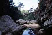 l'Isalo Nrodn park. Madagaskar.