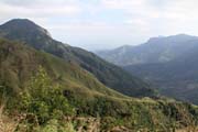 Kopcovitá krajina v okolí města Munnar, Kerala. Indie.