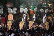 Pakalpooram (procesí slonů), Ernakulam Shiva Temple Festival (Ernakulathappan Uthsavam). Ernakulam, Kerala. Indie.