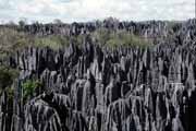 Velk Tsingy, Tsingy de Bemaraha Nrodn park. Madagaskar.