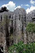 Velké Tsingy, Tsingy de Bemaraha Národní park. Madagaskar.