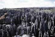 Velké Tsingy, Tsingy de Bemaraha Národní park. Madagaskar.
