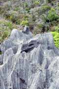 Malé Tsingy, l'Ankarana Národní park. Madagaskar.