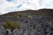 Velk Tsingy, l'Ankarana Nrodn park. Madagaskar.