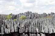 Velké Tsingy, Tsingy de Bemaraha Národní park. Madagaskar.