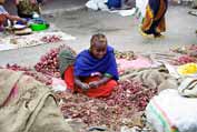 Na trhu v Dire Dawě. Etiopie.