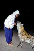 Krmení hyen v Hararu. Východ,  Etiopie.