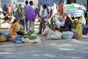 Čatový trh v Hararu