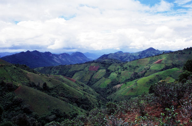 Oblast okolo vesnice Kalaw. Myanmar (Barma).