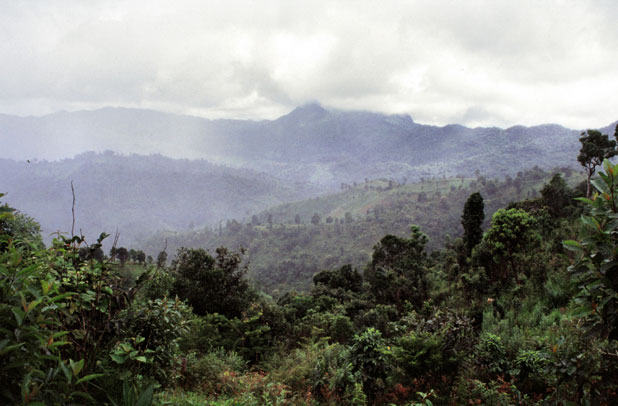 Oblast okolo vesnice Kalaw. Myanmar (Barma).