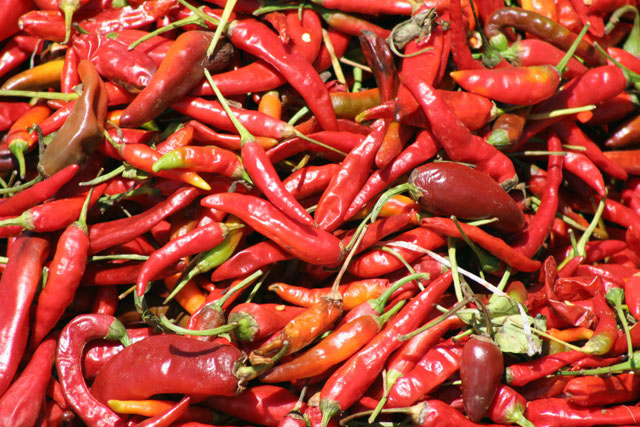 Chilli, trh v Chencha. Jih,  Etiopie.