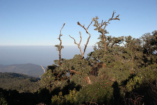 Cestou na Mt. Victoria. Provincie Chin. Myanmar (Barma).