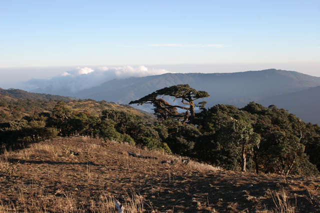 Pohled z vrcholu Mt. Victoria. Provincie Chin. Myanmar (Barma).