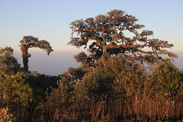 Pohled z vrcholu Mt. Victoria. Provincie Chin. Myanmar (Barma).