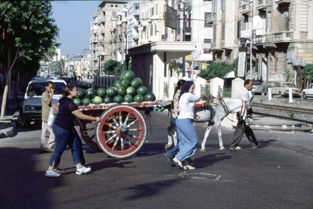 Ulice v Alexandrii. Egypt.