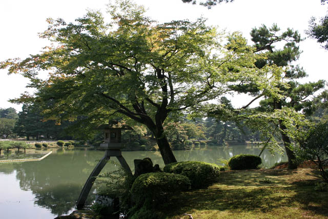 Zahrada Kenroku-en, Kanazawa. Japonsko.