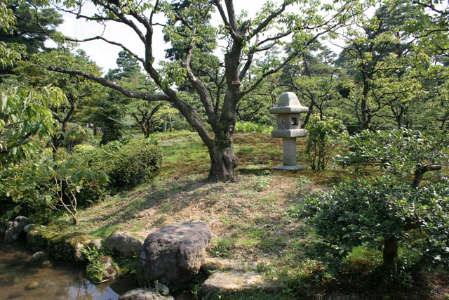 Zahrada Kenroku-en, Kanazawa. Japonsko.