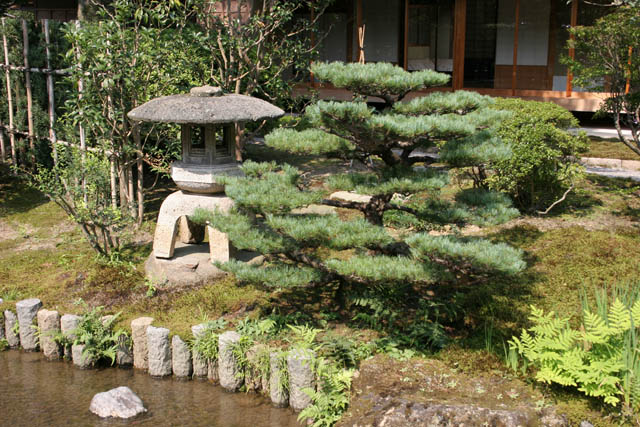 Zahrada Kenroku-en, Kanazawa. Japonsko.