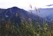 Jižní část Baliemského údolí. Papua,  Indonésie.