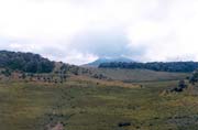 Náhorní planina Horton Plains. Srí Lanka.